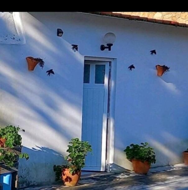 Anexo Na Quintinha Apartman Caldas Da Rainha Kültér fotó